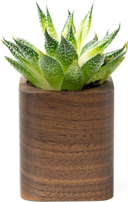 Oakywood Vierkante Plantenpot - Walnoot