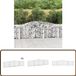 vidaXL Gabions - 6 pièces - voûté - 400x30x80/100 cm - métal - argent