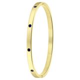 Lucardi Dames Goldplated armband bangle geboortestenen - Staal - Armband - Cadeau - Stijlvol - Goudkleurig