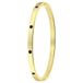 Lucardi Dames Goldplated armband bangle geboortestenen - Staal - Armband - Cadeau - Stijlvol - Goudkleurig