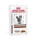 Royal Canin Alimentation Chat Gastrointestinal - 48 x 85 g