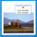 Sonic Rendezvous Greentrax Various Artists - Clo Dubh Clo Donn (CD)
