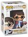 Harry Potter figurine, numéro 111, vinyle, noir