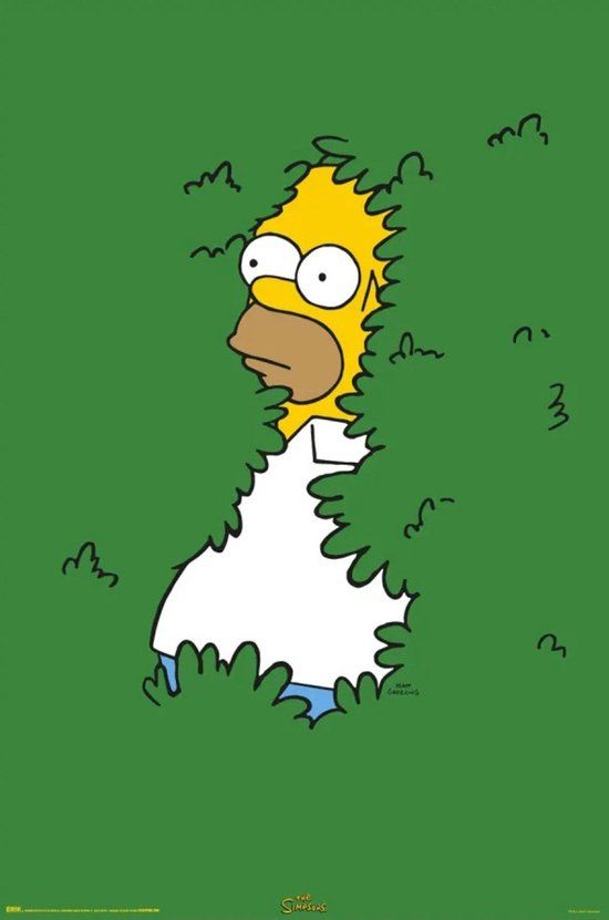 Grupo Erik Poster The Simpsons Homer Bush 61x91,5cm
