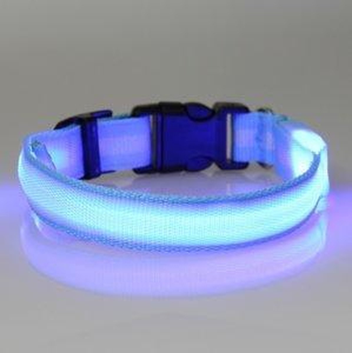 Professor Q hondenhalsband led verlichting large blauw blauw