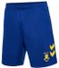 Hummel Uitshirt voor Kinderen Brøndby 2022/23 Blauw Polyester Korte mouw Unisex