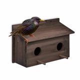 Relaxdays nestkast spreeuwen, groot, dennenhout, 2 invliegopeningen 5 cm, met zitstokken, vogelhuis voor boom, bruin