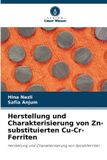 Herstellung OmniScriptum SRL Herstellung und Charakterisierung von Zn-substituierten Cu-Cr-Ferriten