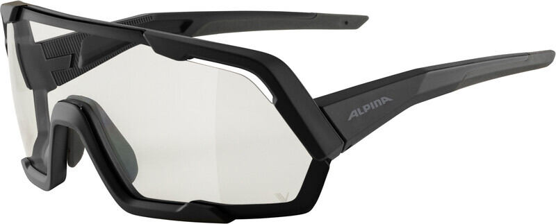 Alpina Rocket V Glasses