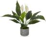Unyqoos® Plante artificielle persistante avec fleurs blanches pour décoration intérieure et extérieure