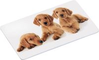 Kesper Ontbijtbord puppy's, Set van 2 stuks, Melamine