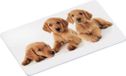 Kesper Ontbijtbord puppy's, Set van 2 stuks, Melamine