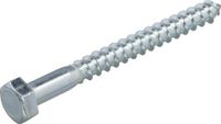 Intergard Houtdraadbout verzinkt DIN 571 6x80mm