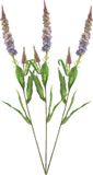 Bellatio Design Fleur artificielle branche de fleurs delphinium - 3x - 76 cm - violet