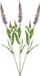 Bellatio Design Fleur artificielle branche de fleurs delphinium - 3x - 76 cm - violet