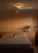 Create WIND CALM CUSTOM RATTAN Plafondventilator