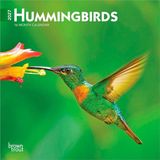 Hummingbirds Browntrout Hummingbirds 2027 7 X 14 Inch (Hanging) Monthly Mini Wall Calendar
