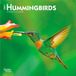 Hummingbirds Browntrout Hummingbirds 2027 7 X 14 Inch (Hanging) Monthly Mini Wall Calendar