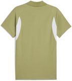 Puma teamEVOSTRIPE Poloshirt Heren M Groen