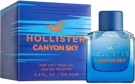 Hollister Eau de Toilette / 100 ml / Men