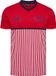 Hummel Dbu 26 Fan 86 Block Cotton Tee Ss