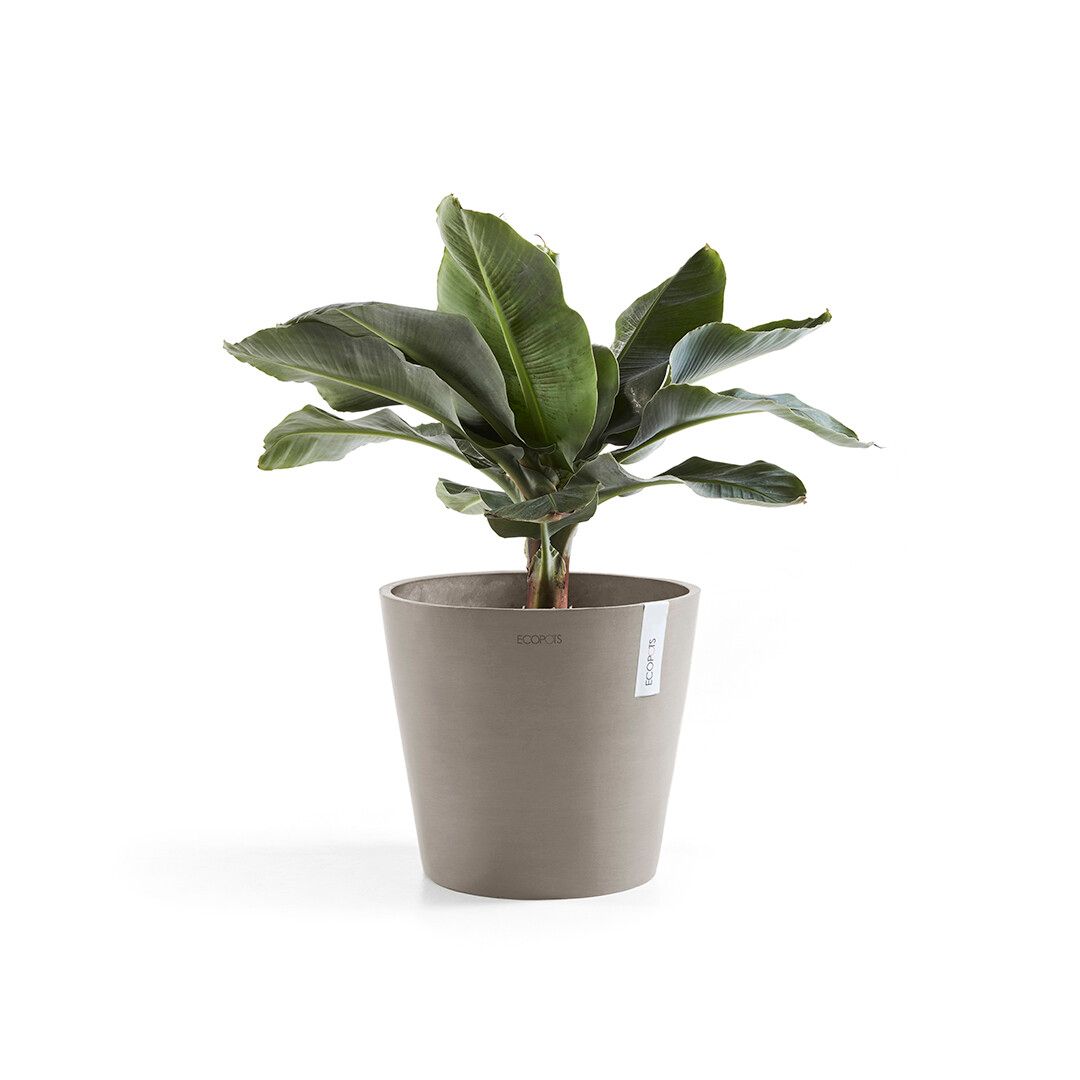 Ecopot's Amsterdam - 211844 - Kunststof - 5411942740742