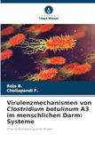 Virulenzmechanismen von Clostridium botulinum A3 im menschlichen Darm: Systeme
