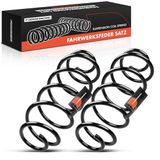 Frankberg 2 x veren chassisveer achteras compatibel met C3 I FC FN 1.1L 1.4L 1.6L hatchback 2002-2010 vervanging # 5102G4