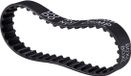 Reely Tandriem Buitenomvang: 533.4 mm Aantal tanden: 105