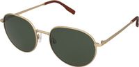 Hawkers Vent Gold Alligator Lunettes de soleil