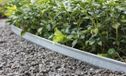 Intergard Borderrand galvanisch verzinkt 240cm