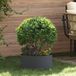 vidaXL Anneau de plante - 5 pièces - Anthracite - 40 x 40 x 20 cm - Acier laminé à froid