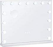 VEVOR Hollywood Make-upspiegel met 15 ledlampen, dimbaar, 3 kleurverlichtingsmodi, 5 x afneembare vergrotende spiegel, USB-poort, intelligente touch-bediening, houder, 580 x 458 mm
