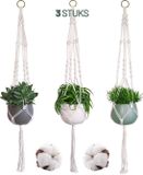 Gadgy Plantenhanger Macramé 3 stuks - Katoen - Hangpot