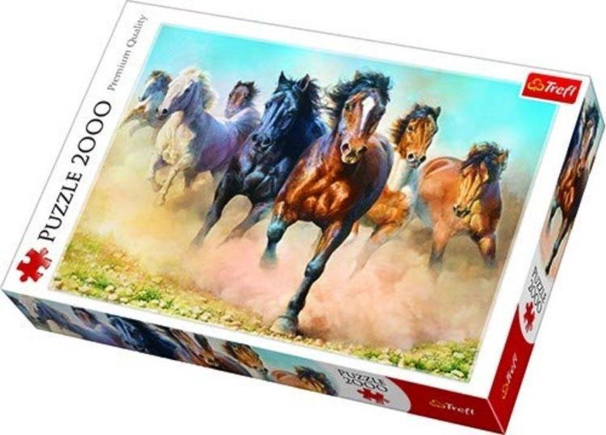 Trefl TR27098 2000 Puzzel - Gekleurd