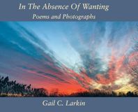 In Libri GmbH In The Absence Of Wanting: Poems and Photographs Hardcover