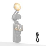 NEEWER Mini LED Vullamp Compatibel met DJI Osmo Pocket 4 4P, M29 Wit