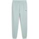 Puma Essentials 2 colour no. 1 logo joggingbroek voor heren modern mint green