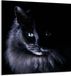 TMK ArtDeko Planche à découper Verre Chat 60x65 cm