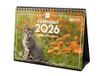 Finocam - Tafelkalender 2026 maandoverzicht januari - december 2026 + september - december 2025 (4 maanden) gereduceerd | kalender 2026 | kattenafbeeldingen - Catalaans