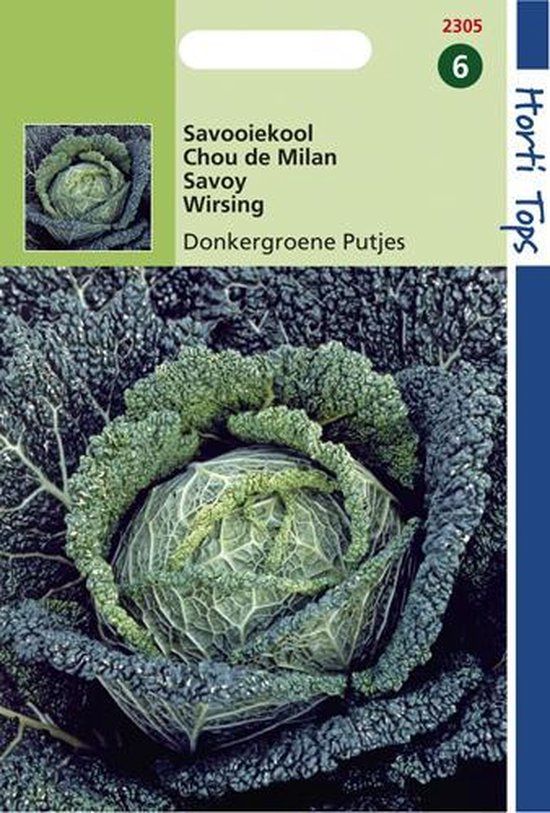 Hortitops Zaden - Savooiekool Donkergroene Putjes