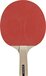 Dunlop Match 4 Player Tafeltennisset - Tafeltennisbatjes, Net en Ballen
