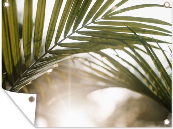 GreatGardenPosters Tuinposter - Palmboom - Palmblad - 80x60 cm - PVC - Zomer - Landelijk