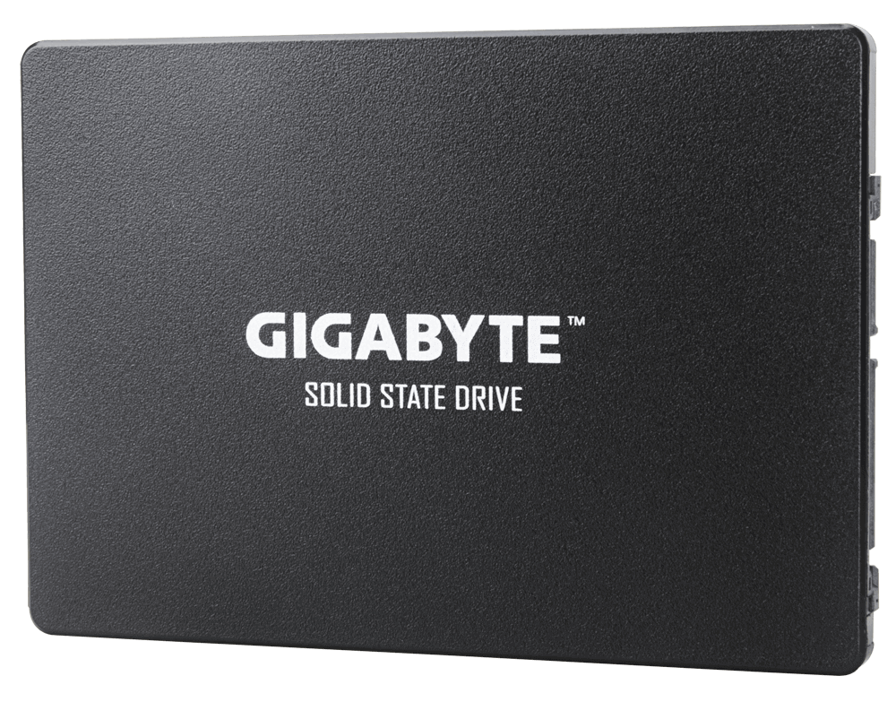 Gigabyte GP-GSTFS31480GNTD