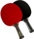 Pegasi tafeltennisbatje 6 ster Expert