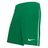 Nike Uniseks-Kind Shorts Y Nk Df Lge Knit Iii Short K, Pine Green/White/White, DR0968-302, L