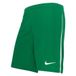 Nike Uniseks-Kind Shorts Y Nk Df Lge Knit Iii Short K, Pine Green/White/White, DR0968-302, L