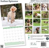 Baker & Bray Spinone Italiano Kalender 2027
