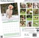 Baker & Bray Spinone Italiano Kalender 2027