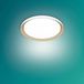 Philips Hue Philips Pebblo plafondlamp - Ultra Efficient - SceneSwitch lichttechnologie - 10W - Warmwit licht - Wit met goud design - Bespaar op energiekosten